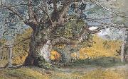 Samuel Palmer Oak Trees,Lullingstone Park Spain oil painting artist